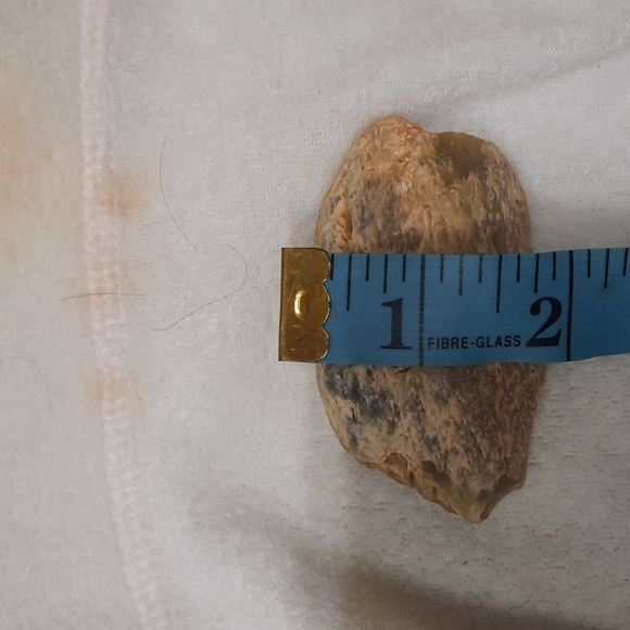 Petrified wood (fossilized wood) - Picture 7 of 7